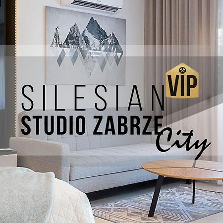 Studio Silesian Vip City Centrum Free Parking 자브제 외부 사진