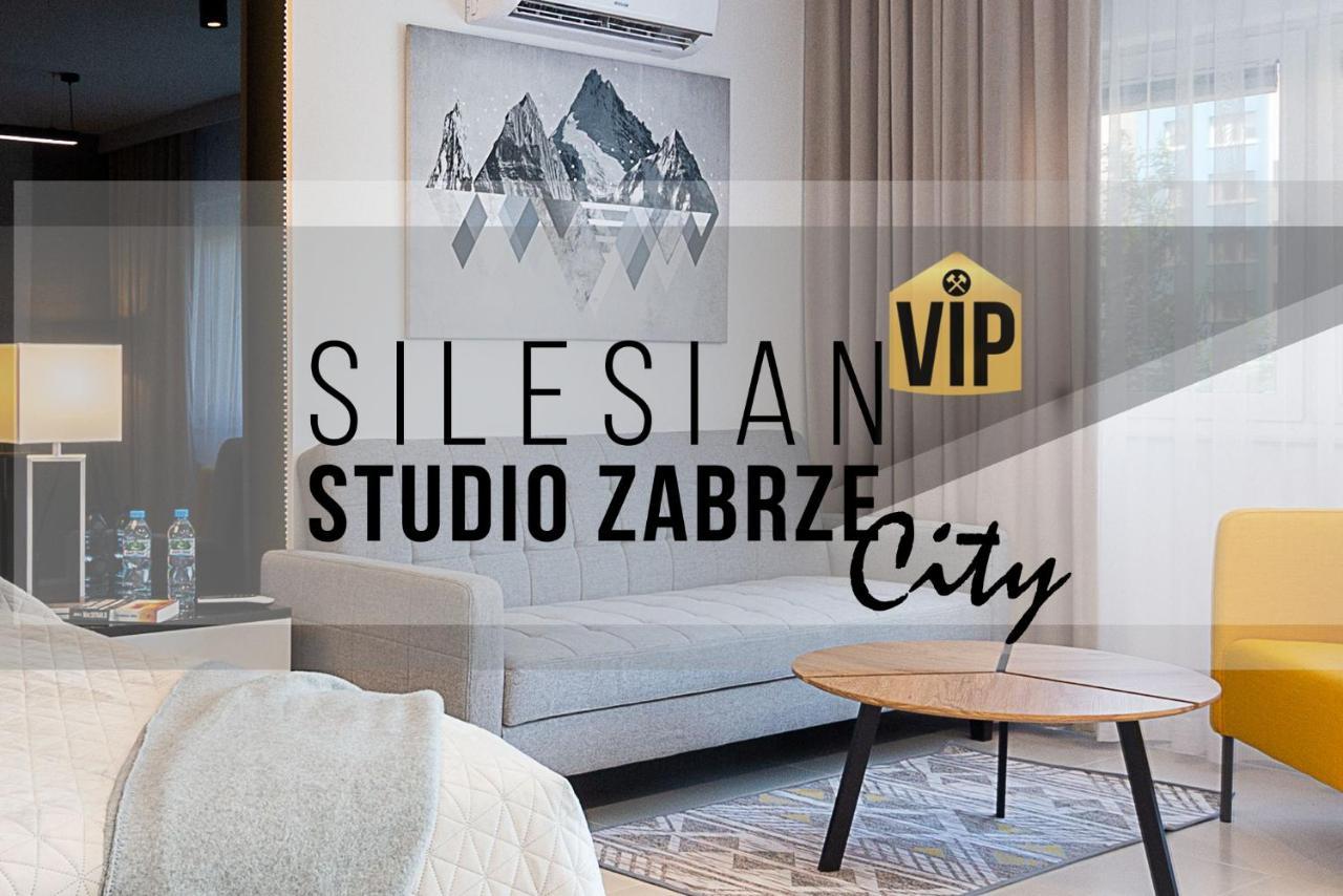 Studio Silesian Vip City Centrum Free Parking 자브제 외부 사진